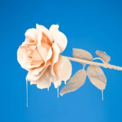 how unlimited graphic design works | arcadia design arcadia design | quality web & graphic design